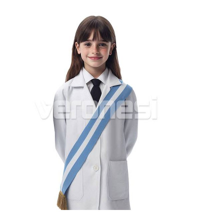 Banda Promesa A La Bandera Sin Impresion